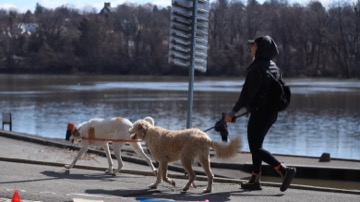 Ice Breaker 5K Photos 2026