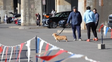 Ice Breaker 5K Photos 2026