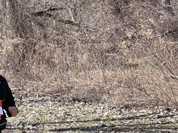 Ice Breaker 5K Photos 2026