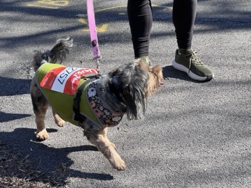 Ice Breaker 5K Photos 2026