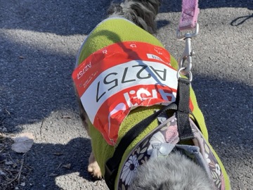 Ice Breaker 5K Photos 2026