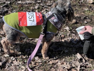 Ice Breaker 5K Photos 2026