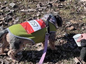 Ice Breaker 5K Photos 2026