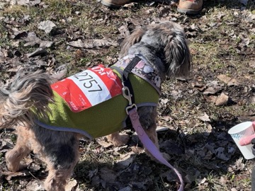 Ice Breaker 5K Photos 2026