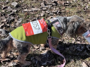 Ice Breaker 5K Photos 2026